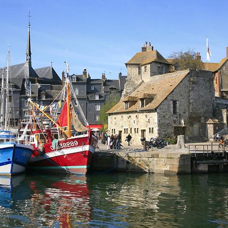 Saint-Romain-de-Colbosc Studio Meuble Jacynthe Proche Le Havre - Etretat - Honfleur מראה חיצוני תמונה
